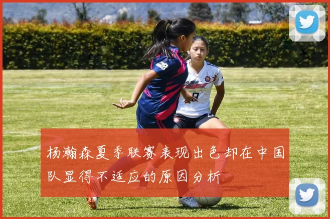 杨瀚森夏季联赛表现出色却在中国队显得不适应的原因分析